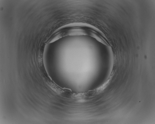 X0000070190186200605301322