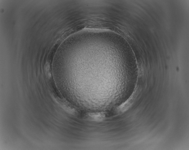 X0000070190187200605301322