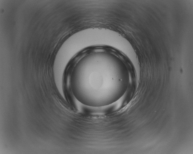 X0000070190188200605301322