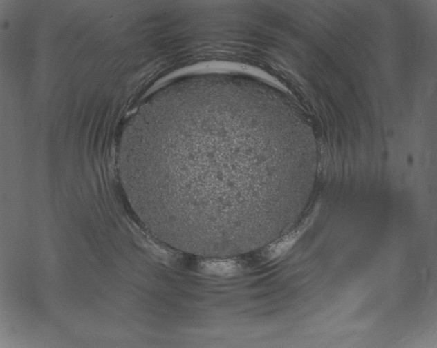 X0000070190189200605301322