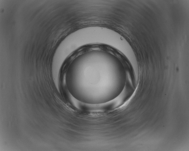 X0000070190190200605301322