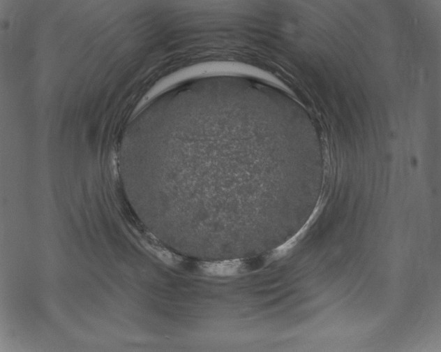 X0000070190191200605301322