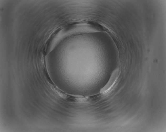 X0000070190192200605301322