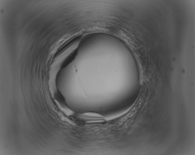 X0000070190193200605301321