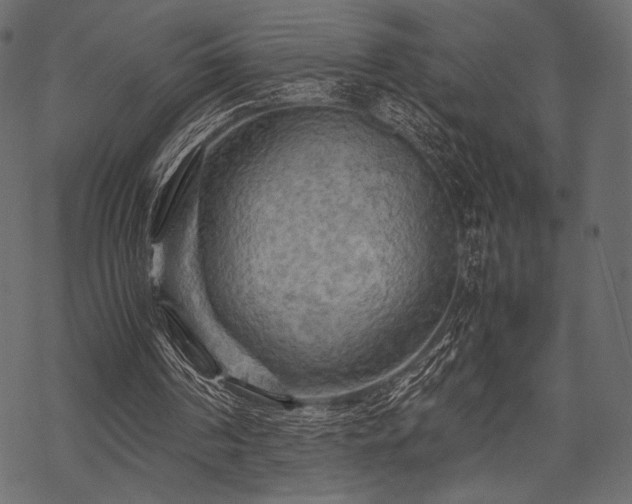 X0000070190194200605301321