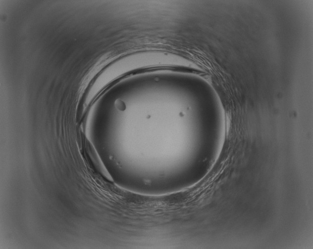 X0000070190195200605301321