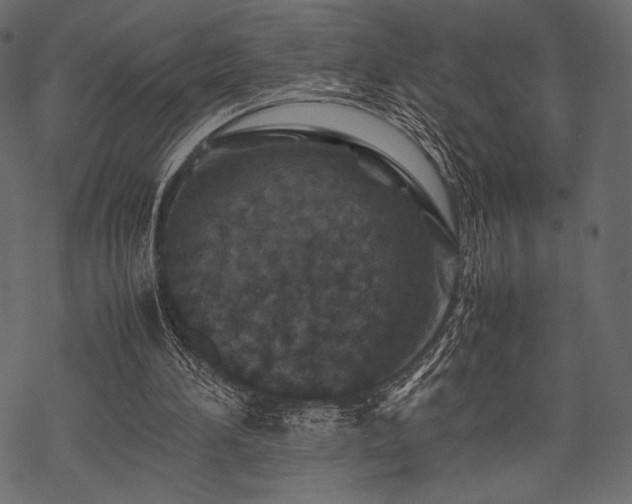 X0000070190196200605301321