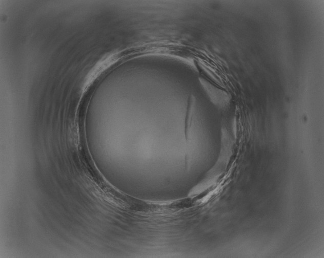 X0000070190198200605301321