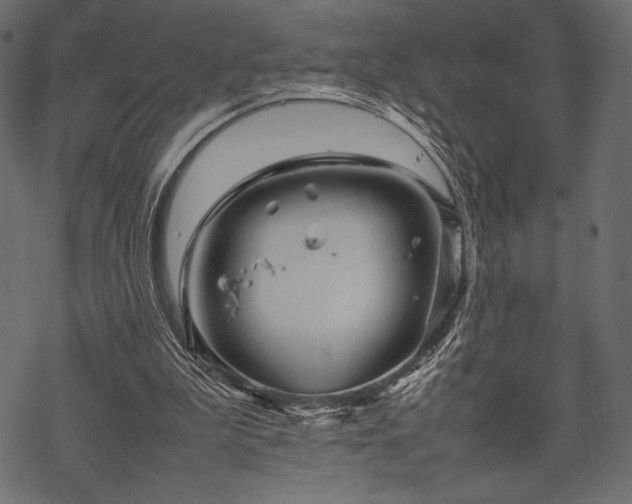 X0000070190199200605301321