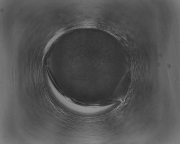 X0000070190200200605301321