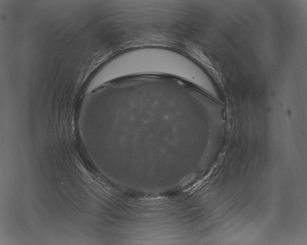 X0000070190202200605301321