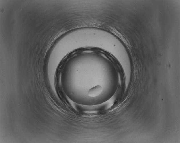 X0000070190203200605301321