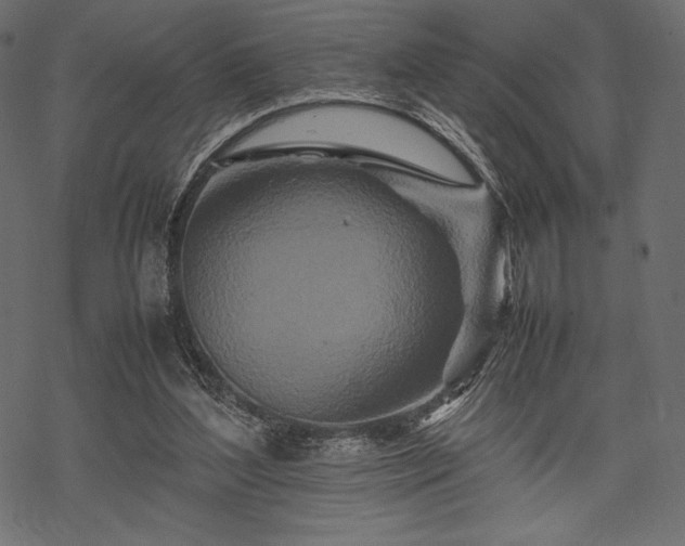 X0000070190204200605301321