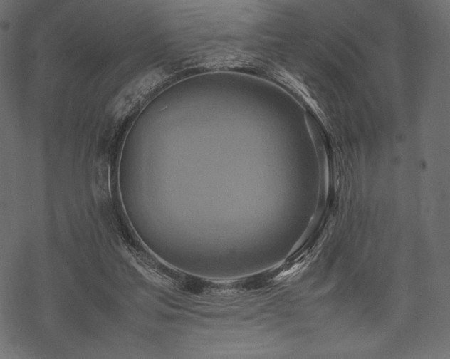 X0000070190205200605301321