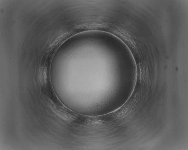 X0000070190206200605301321