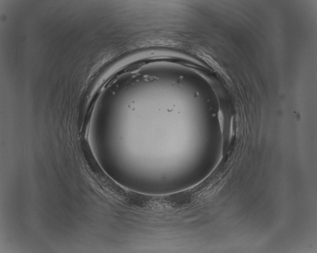 X0000070190207200605301321