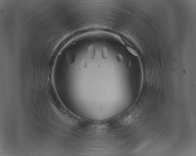 X0000070190208200605301321