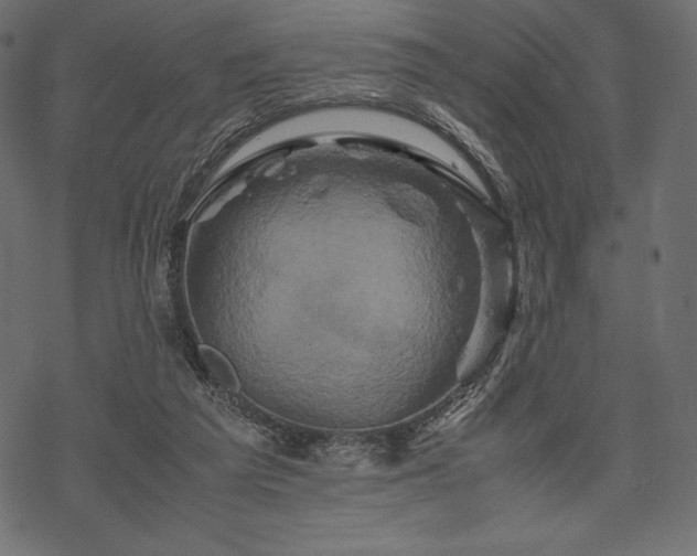 X0000070190209200605301321