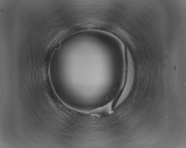 X0000070190210200605301321