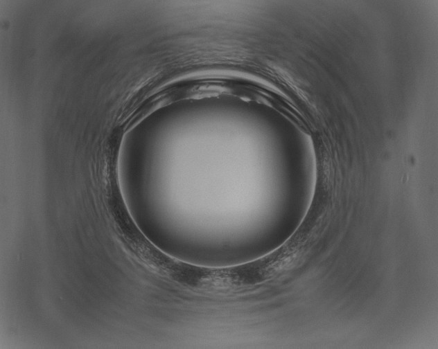 X0000070190211200605301321