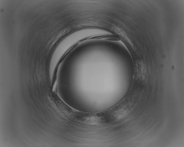 X0000070190212200605301321