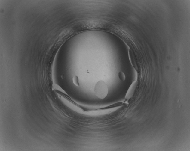 X0000070190214200605301321