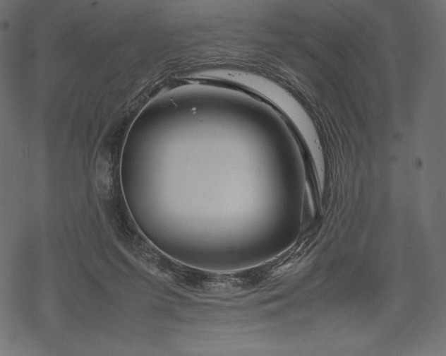 X0000070190215200605301321