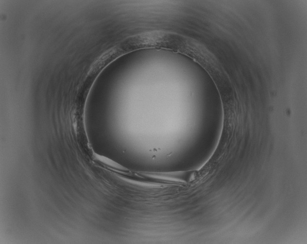 X0000070190216200605301321