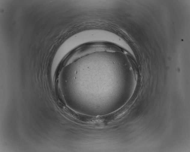 X0000070190217200605301321