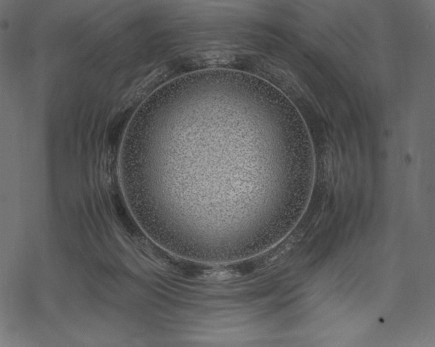 X0000070190218200605301321