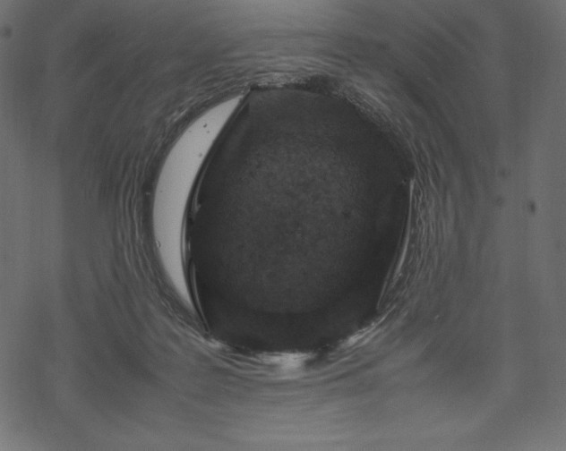 X0000070190219200605301321