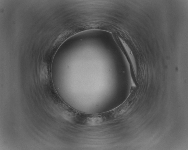 X0000070190220200605301321