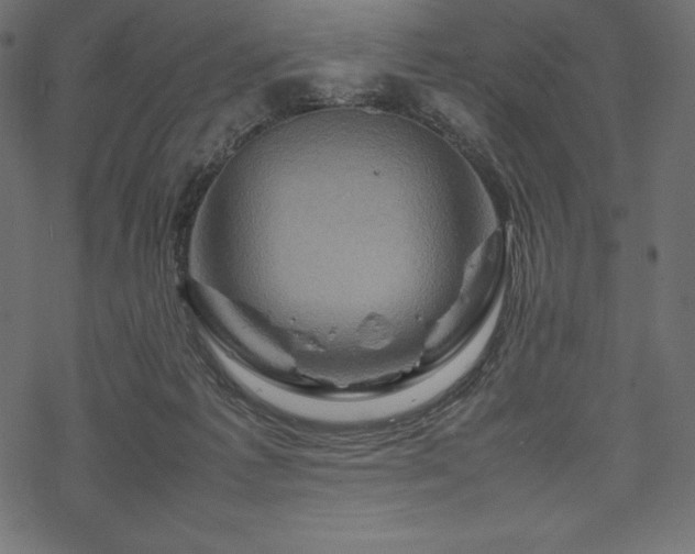 X0000070190221200605301321