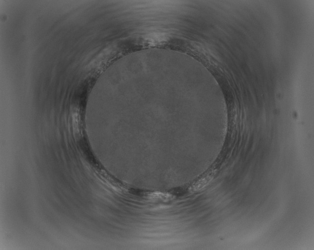 X0000070190222200605301320