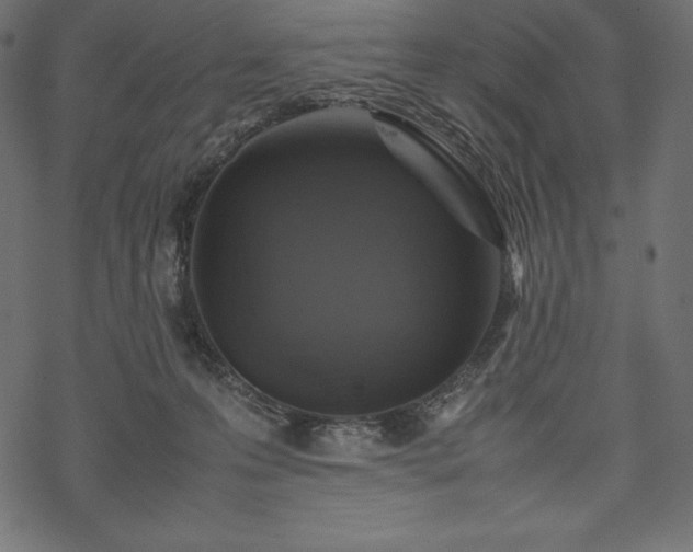 X0000070190223200605301320