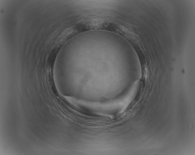 X0000070190225200605301320