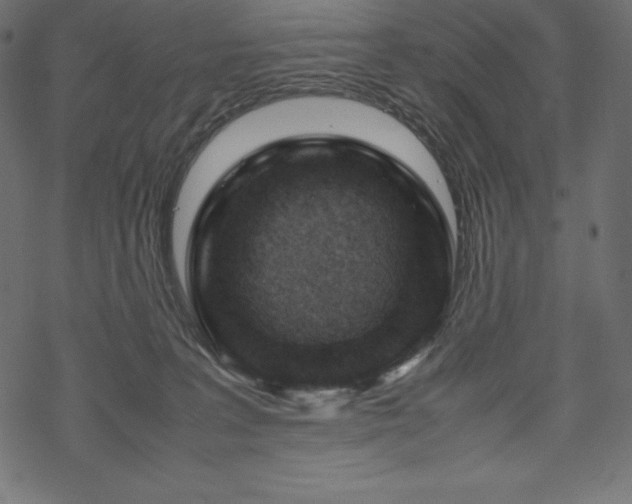 X0000070190227200605301320