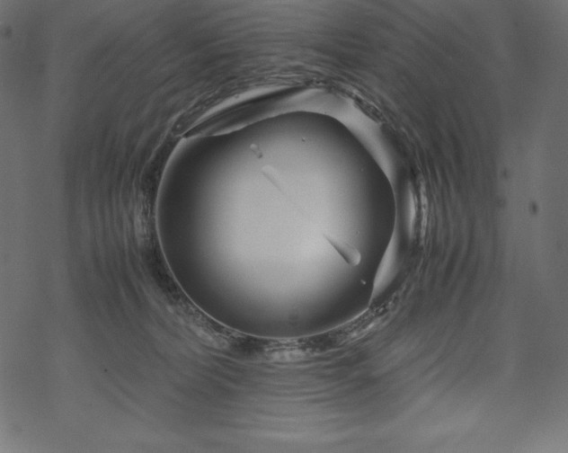 X0000070190228200605301320