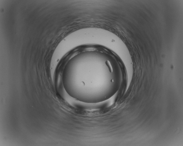 X0000070190229200605301320