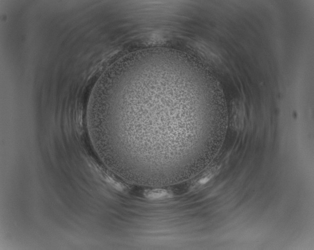 X0000070190230200605301320