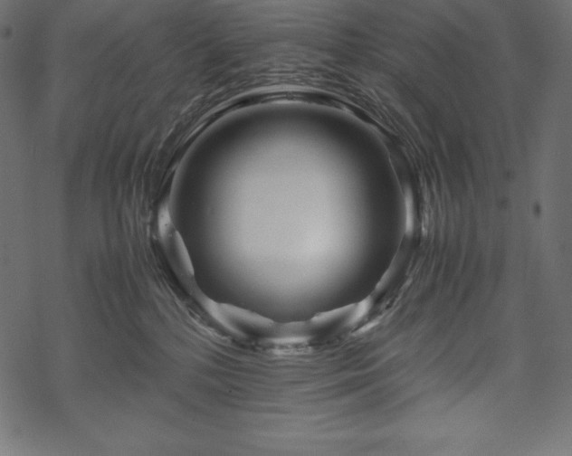 X0000070190232200605301320