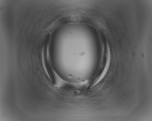 X0000070190233200605301320