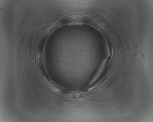 X0000070190235200605301320