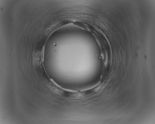 X0000070190237200605301320