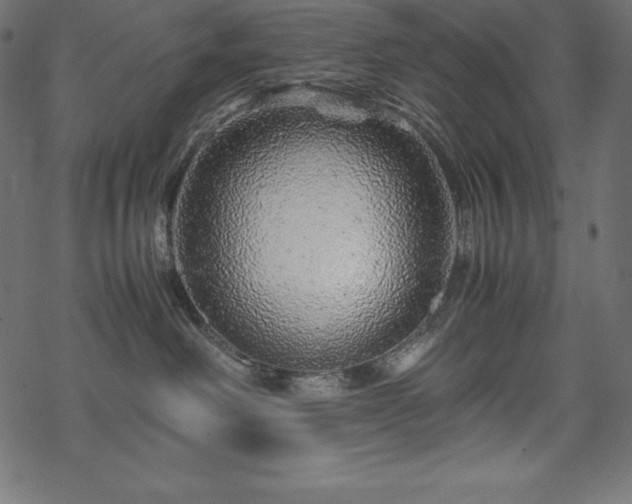 X0000070190238200605301320