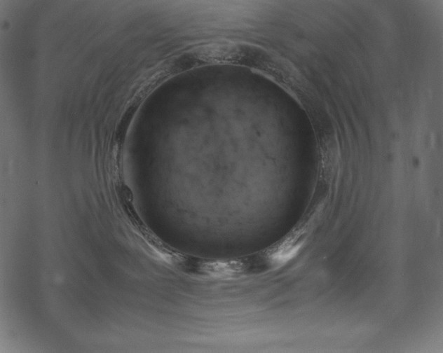 X0000070190239200605301320