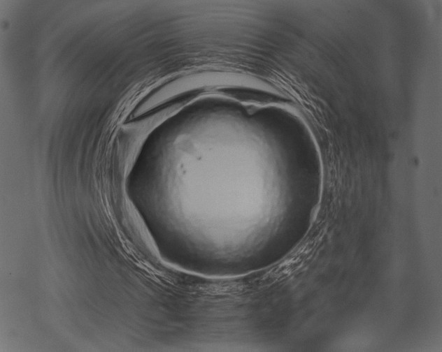 X0000070190241200605301319