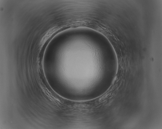 X0000070190242200605301319