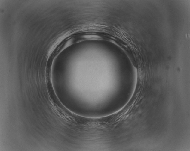 X0000070190244200605301319