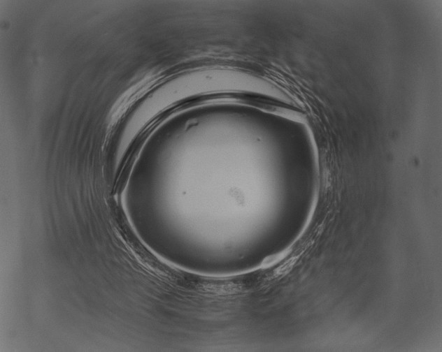 X0000070190245200605301319